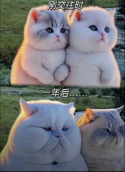 -闺蜜美甲