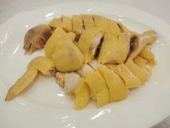 湛江白切鸡-姚林轩