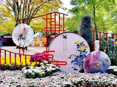 -上海共青森林公园