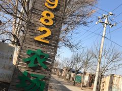 -1982农场