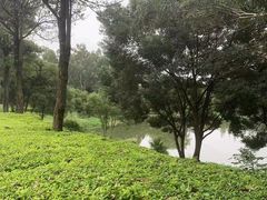 -福建鲤鱼洲酒店