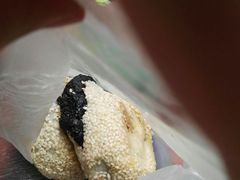 蛤蟆吐蜜-白魁老号饭庄(交道口店)