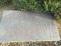 -燕窝岭