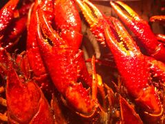 -沪小二炭火蛙锅(淮海中路美食不夜城店)