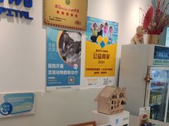 -北京观赏动物医院·24小时大型综合·猫专科·异宠专科
