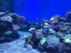 -成都浩海立方海洋公园