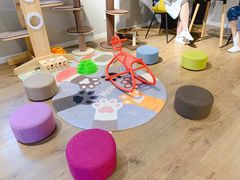 -东方名猫馆·英短金渐层布偶猫舍(环线广场1号楼店)