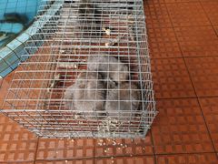 -侠成水上农庄(工业大道店)