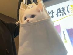 -蜜雪冰城(欧亚商都店)