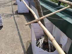 -观澜湖生态运动公社