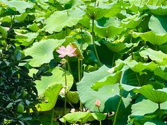 -丝绸小镇荻港古村