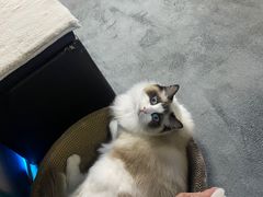 -零纪元VR体验馆·桌游(黄浦店)