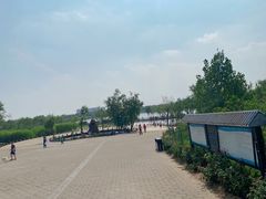 -绿堤公园