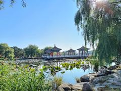 -长春市南湖公园