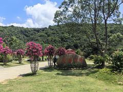 -东莞观音山旅游风景区