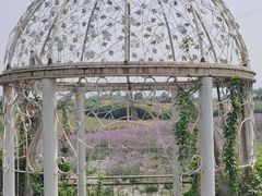 -紫颐香薰山谷景区