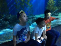 -暹罗海洋世界