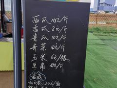-光明小镇欢乐田园