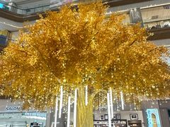 -友谊阳光城(金贸街道店)