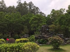 -滴水岩森林公园