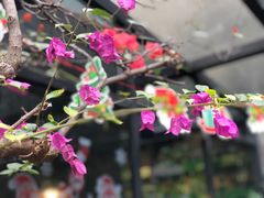 -杨桃院子咖啡吧(中华红墨店)