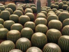 -南通洲际绿博园