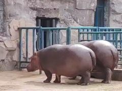 -哈尔滨北方森林动物园