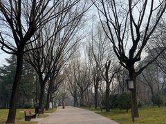 -唐城墙遗址公园