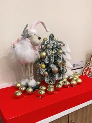 -上海玫瑰医疗美容医院