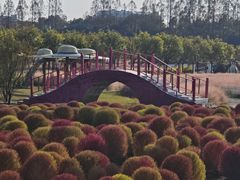 -嘉北郊野公园