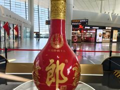 -郑州新郑国际机场