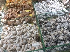 -贝壳王国博物馆