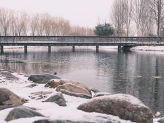 -北龙湖湿地公园