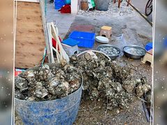 -花苑美食横琴生蚝火锅(拱北粤华路店)