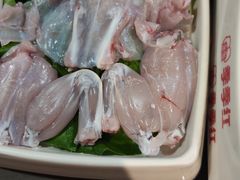 -季季红火锅(动壹店)
