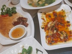 -港升鱼师傅·中山脆肉鲩