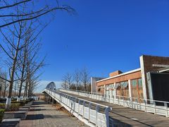 -大兴滨河森林公园