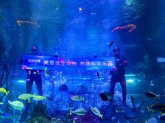 -沈阳海洋探索中心