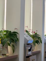 -妍理·植物养发