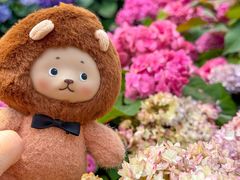 -云溪植物园