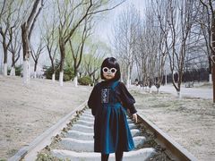 -永定河休闲森林公园