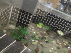 -南京信息职业技术学院-1食堂