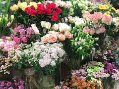 鲜花-T11生鲜超市(朝阳公园店)