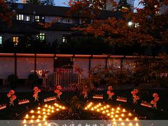 上海浪漫爱都婚礼策划-上海安亭别墅花园酒店