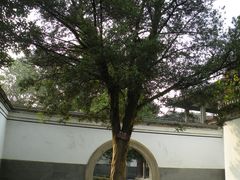 -溪口-滕头旅游景区