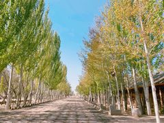 -黄沙古渡原生态旅游区