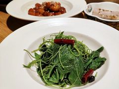 木姜子油拌苗菜-庆春朴门