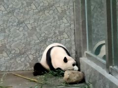 -西安秦岭野生动物园