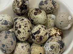 -顺德渔村·岭南一号