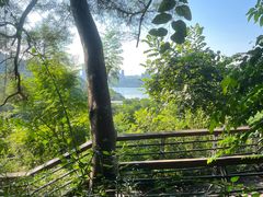 -深圳仙湖植物园